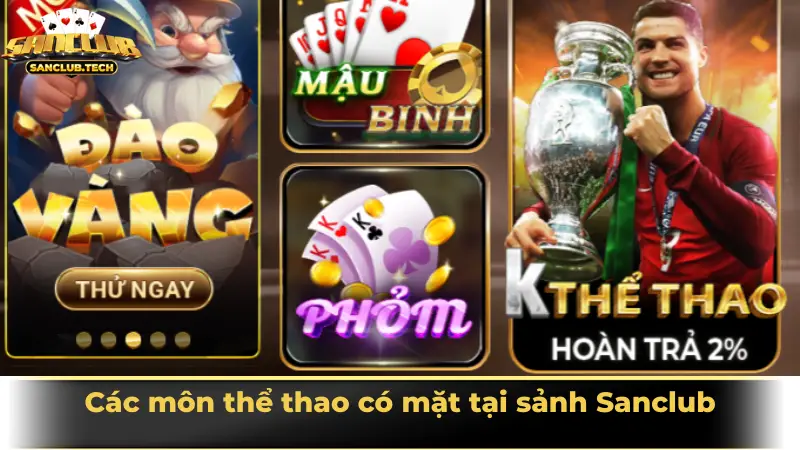 Sảnh cá cược thể thao Sanclub hiện đại, kịch tính và đáng trải nghiệm nhất 2025 3 Các môn thể thao có mặt tại sảnh Sanclub